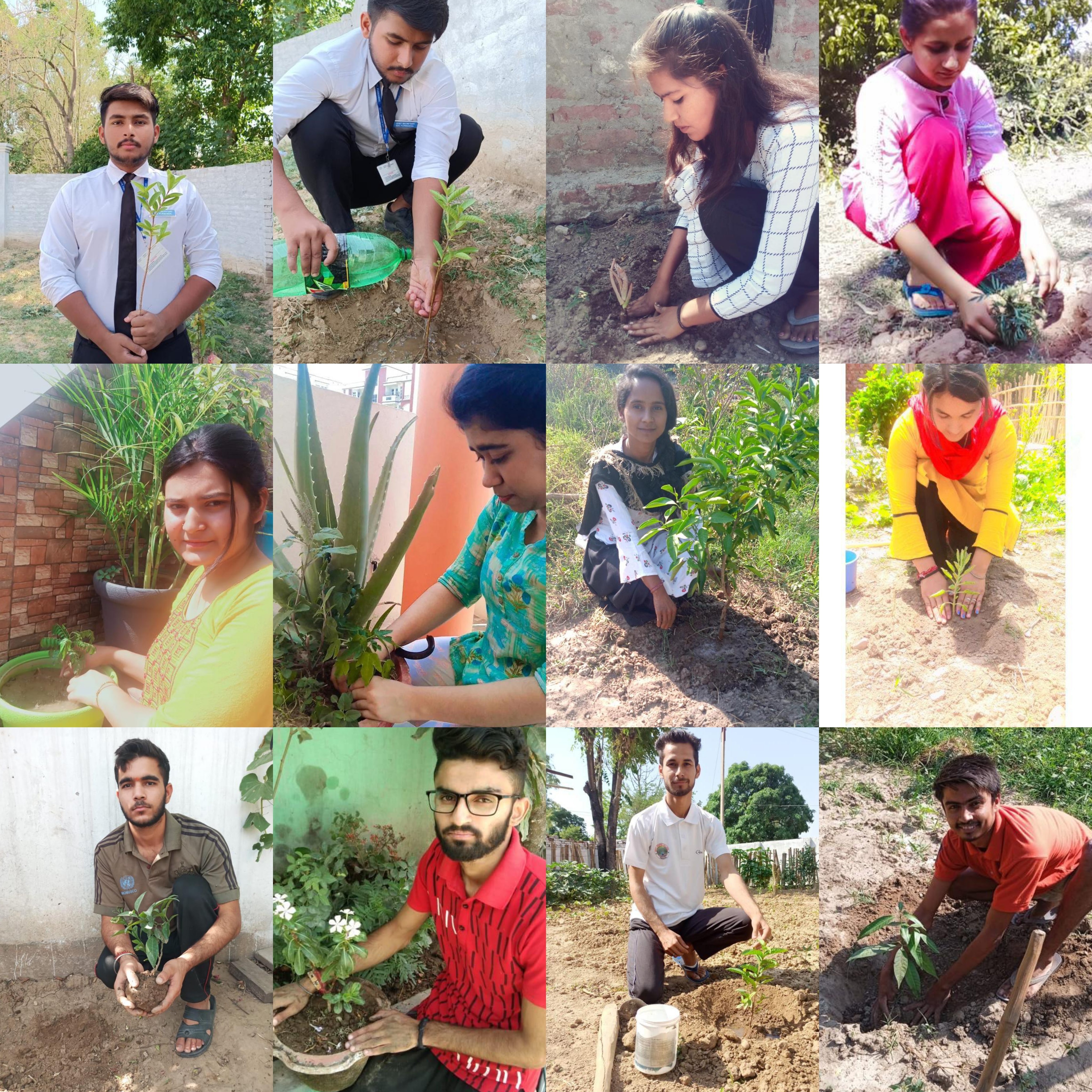 GDC Purmandal Department of Environmental Sciences organized Green Wave Campaign